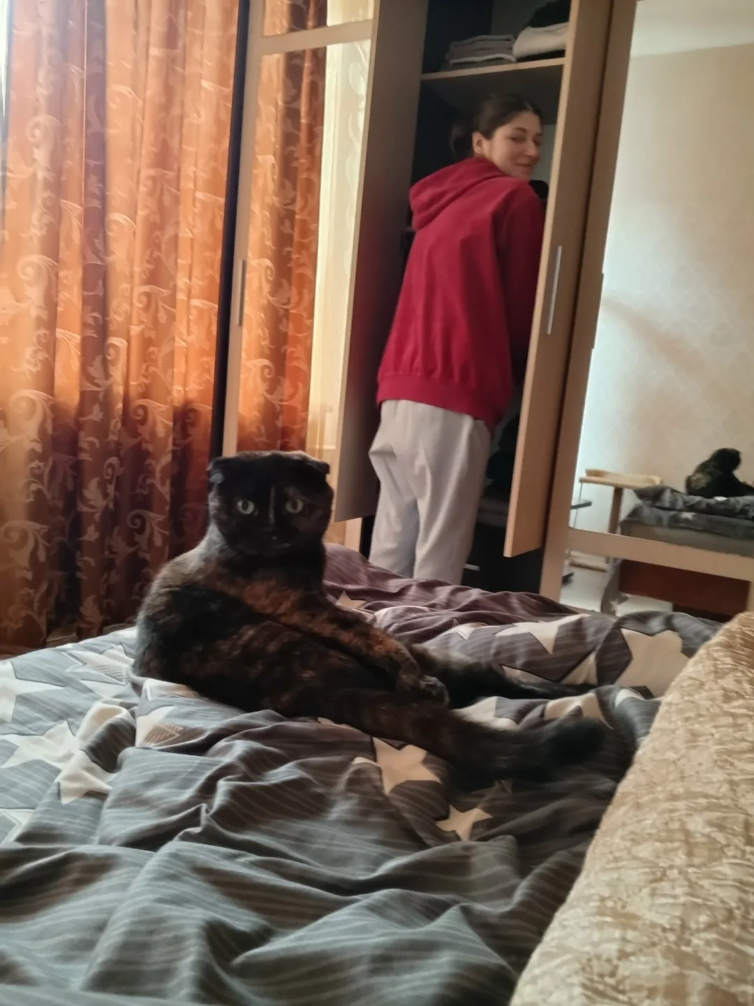 Пропала кошка в Люберцах — фото питомца