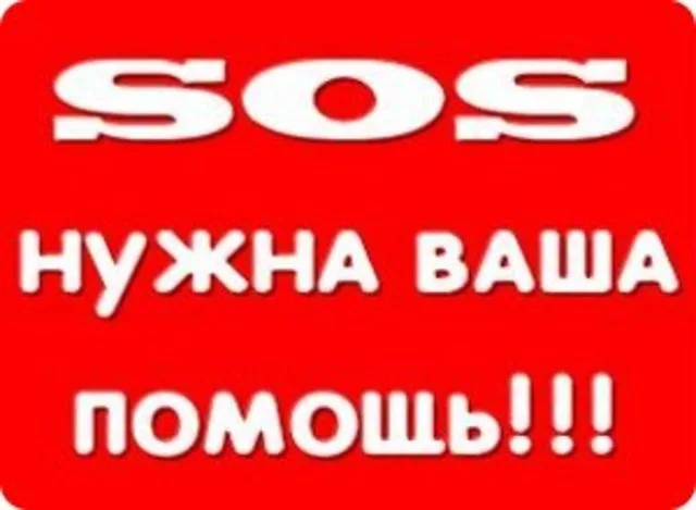 Найдена собака в Красногорске — фото питомца