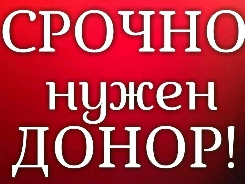 Найдена собака в Барнауле — фото питомца