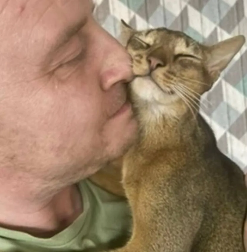 Найдена собака в Хабаровске — фото питомца