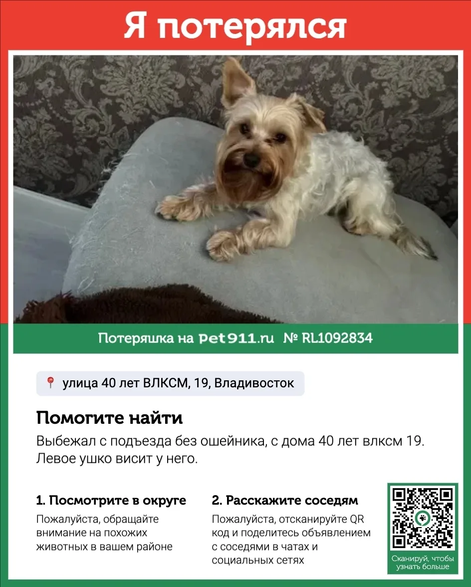 Пропала собака в Владивостоке — фото питомца