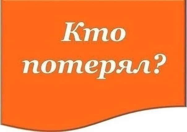 Найдена кошка в Оренбурге — фото питомца