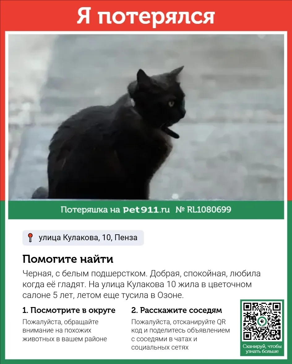Пропала собака в Пензе — фото питомца