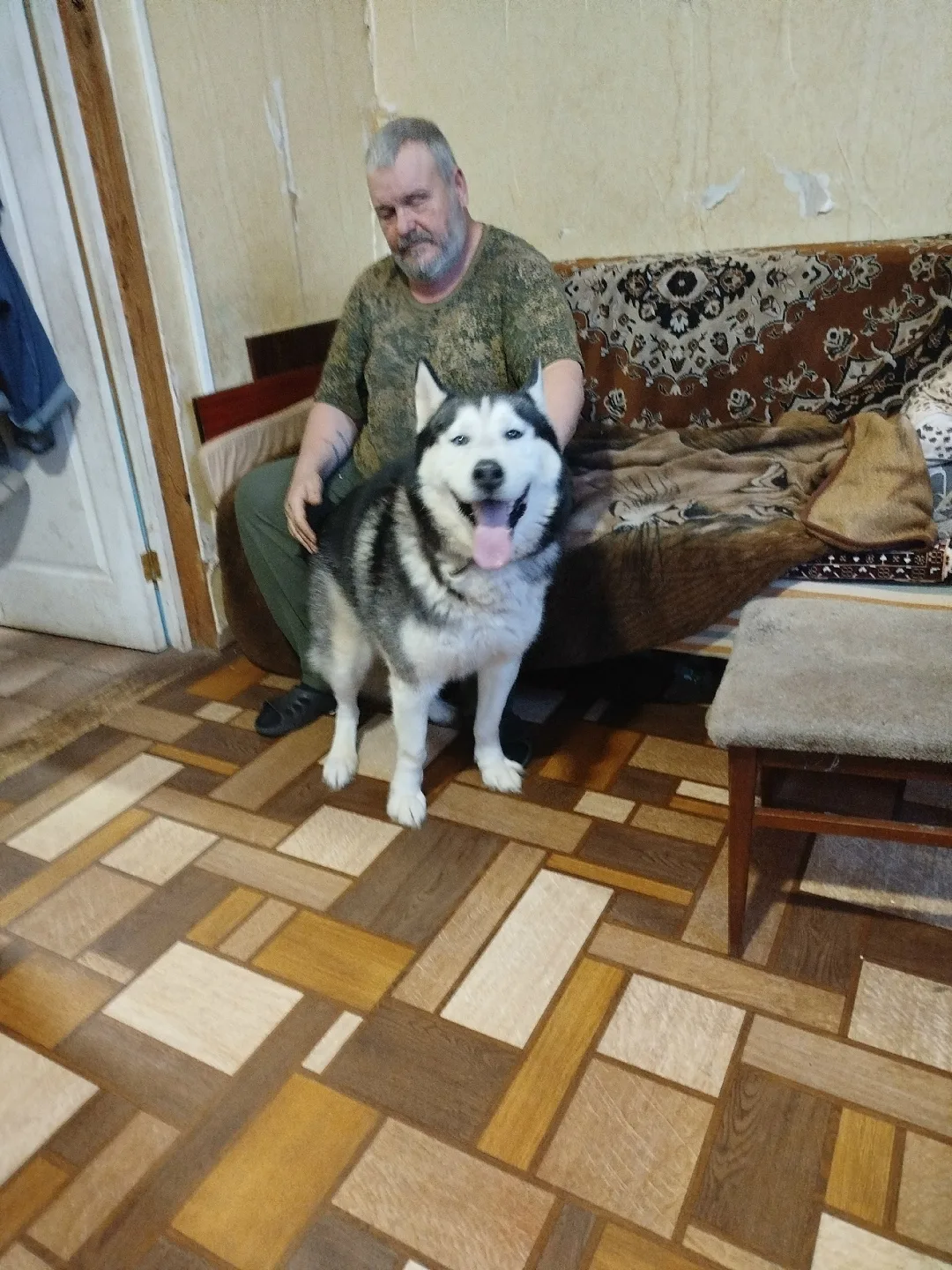 Найдена собака в Пензе — фото питомца