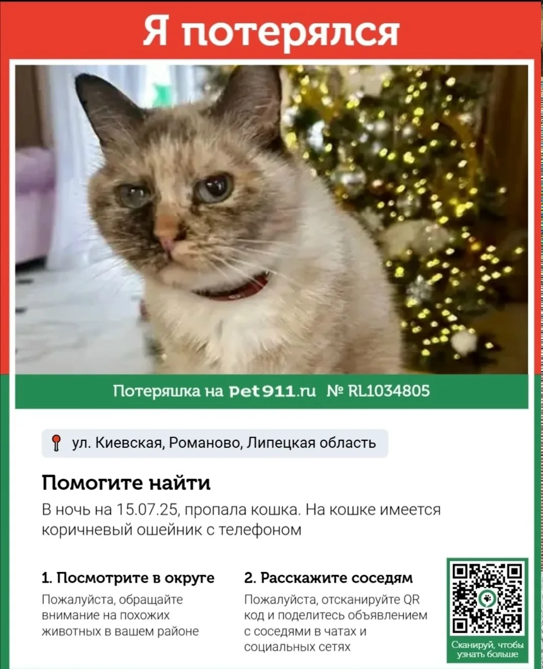 Найдена собака в Липецке — фото питомца