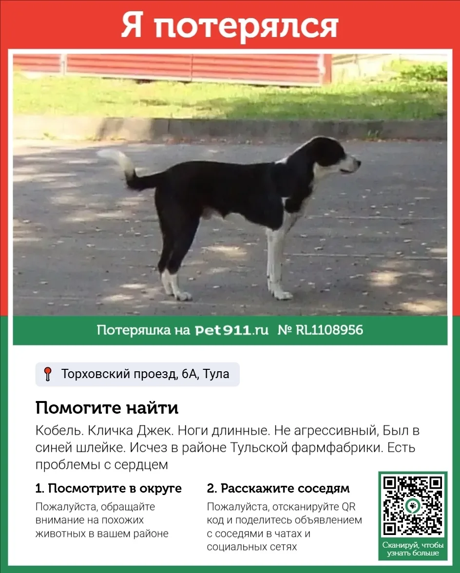 Пропала собака в Туле — фото питомца