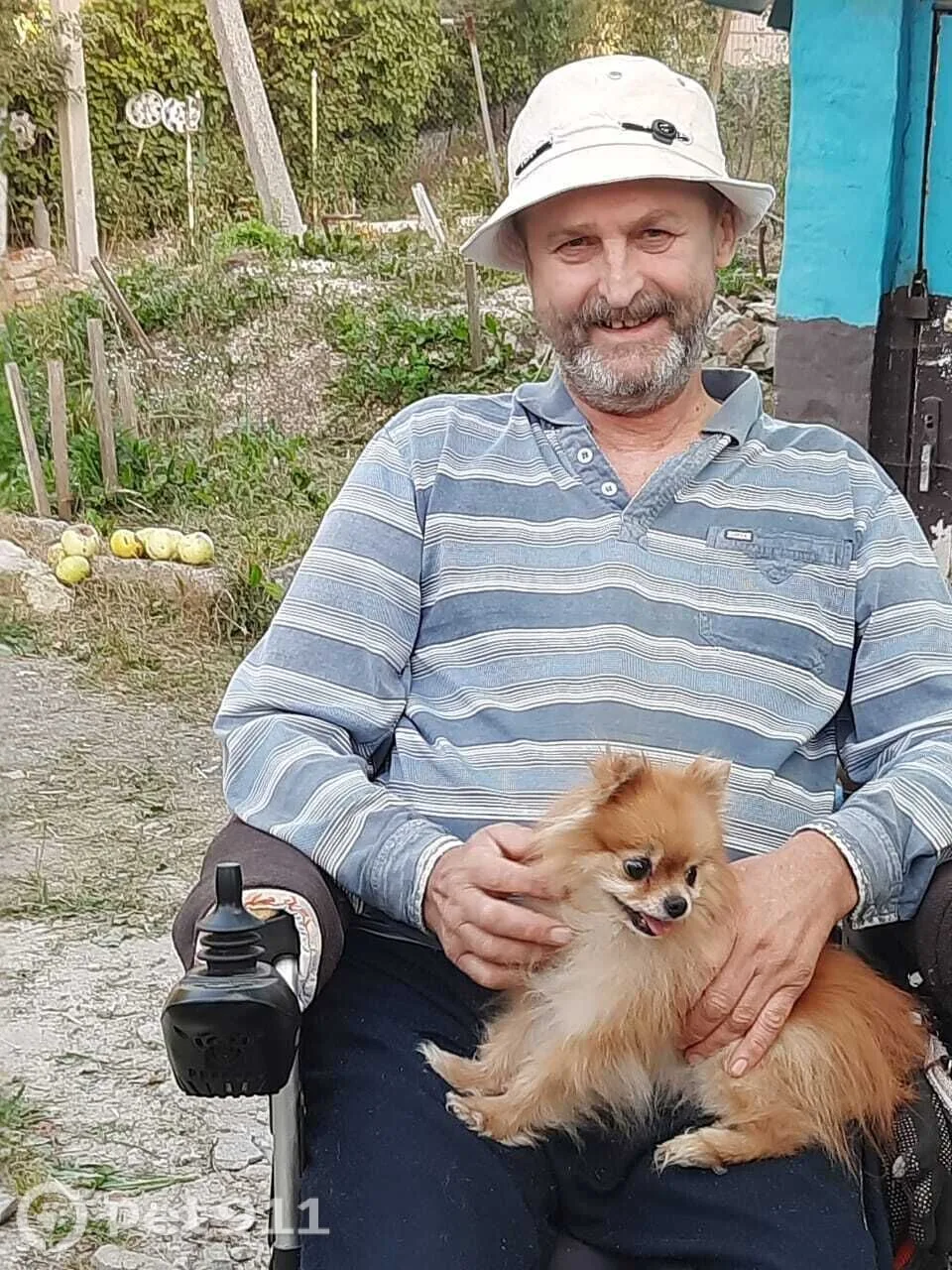 Пропала собака в Туле — фото питомца