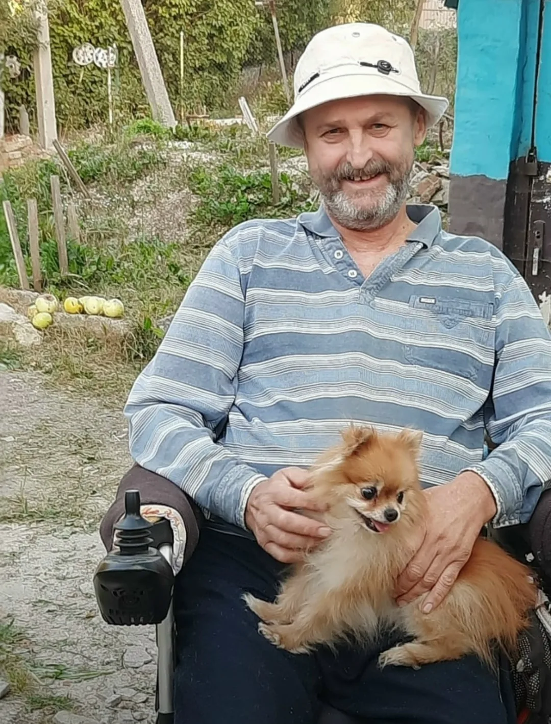 Пропала собака в Туле — фото питомца