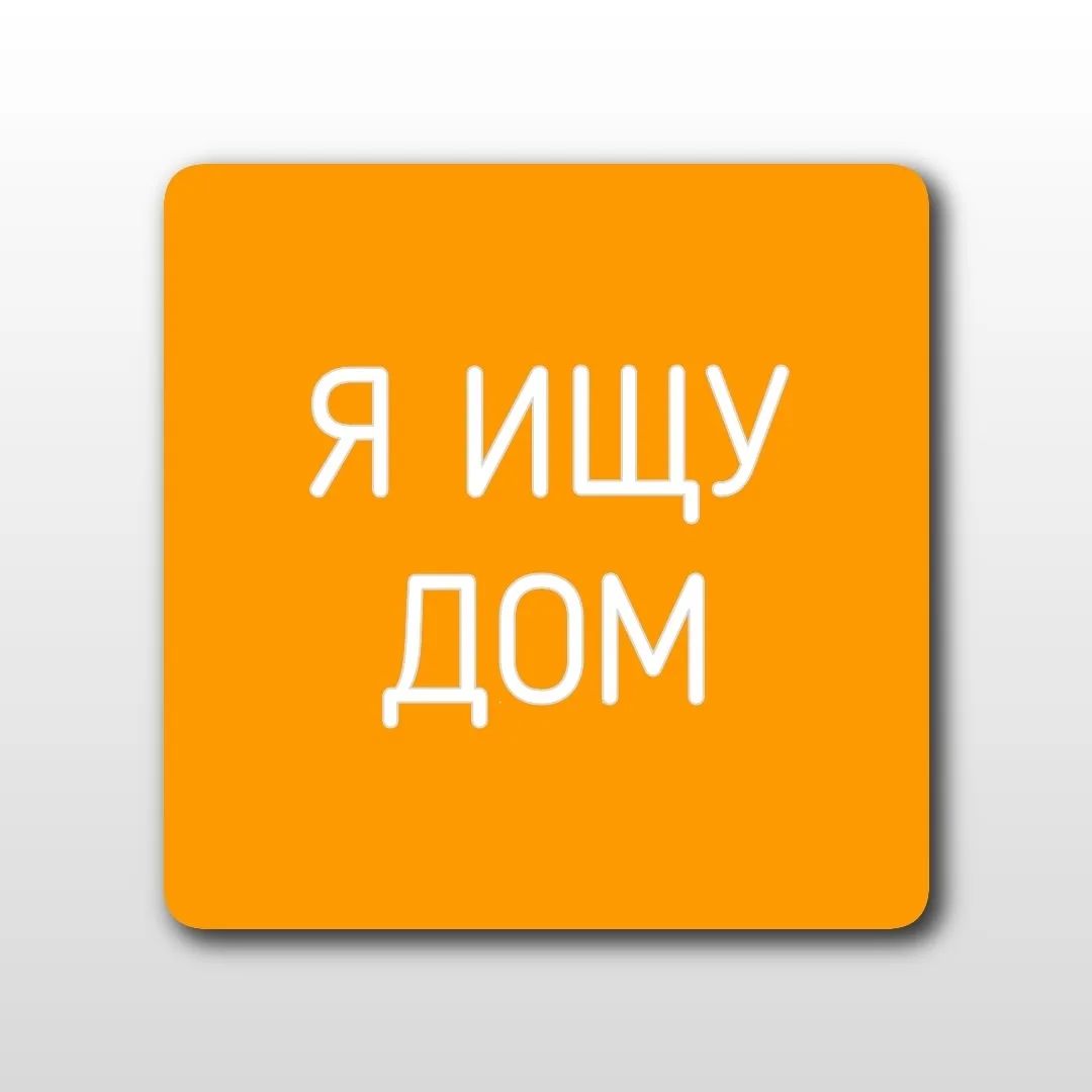 Найдена собака в Кирове — фото питомца