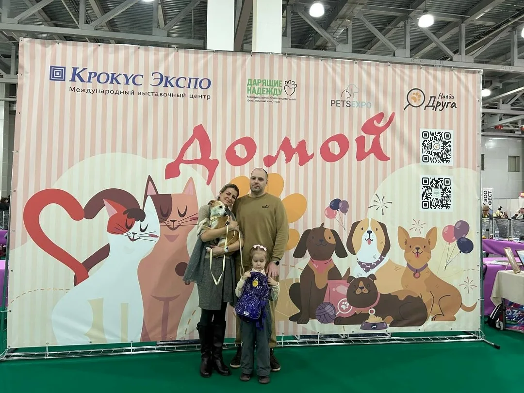 Найдена собака в Курске — фото питомца