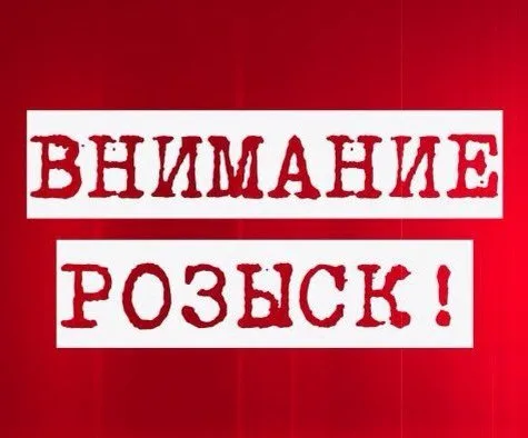Пропала собака в Брянске — фото питомца