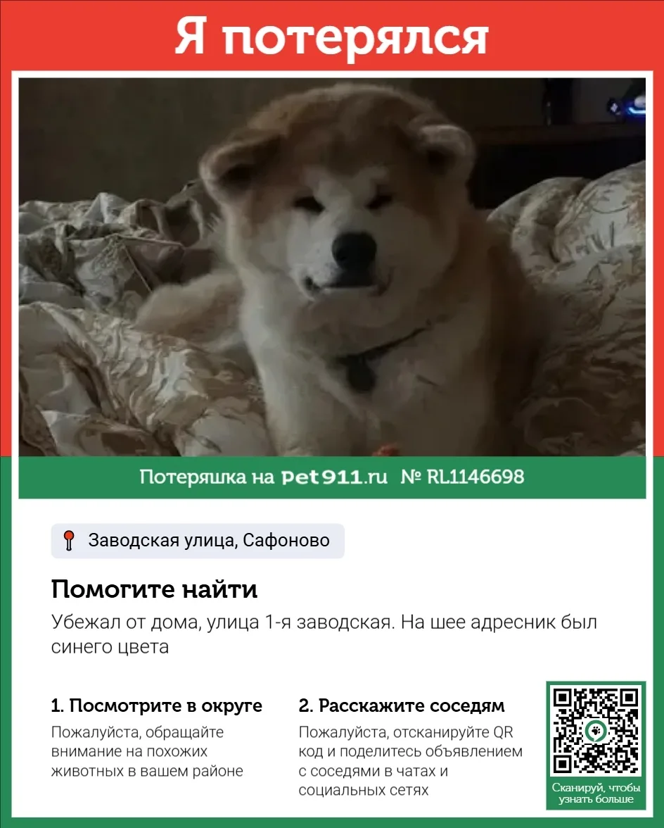 Пропала собака в Смоленске — фото питомца