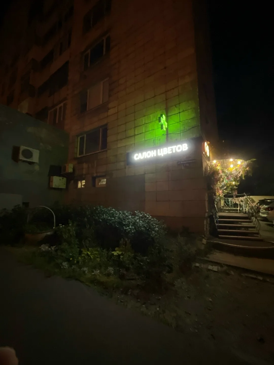 Найдена собака в Архангельске — фото питомца