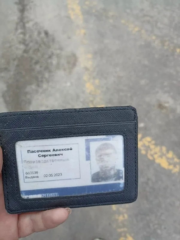Объявление о питомце в Егорьевске — фото питомца
