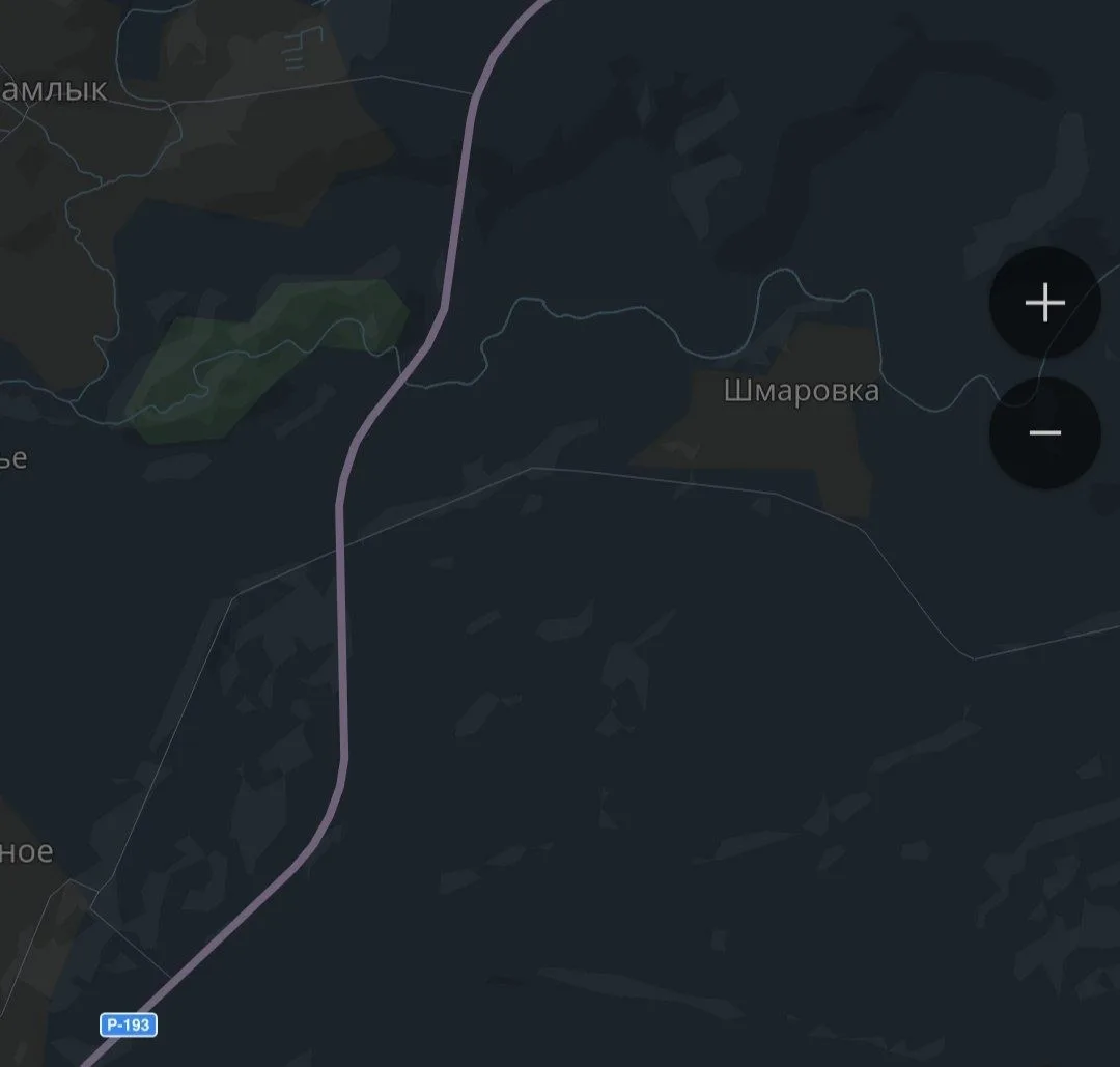 Найдена собака в Тамбове — фото питомца