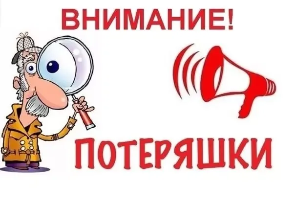 Пропала собака в Обнинске — фото питомца