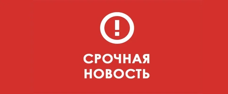 Найдена собака в Солнечногорске — фото питомца