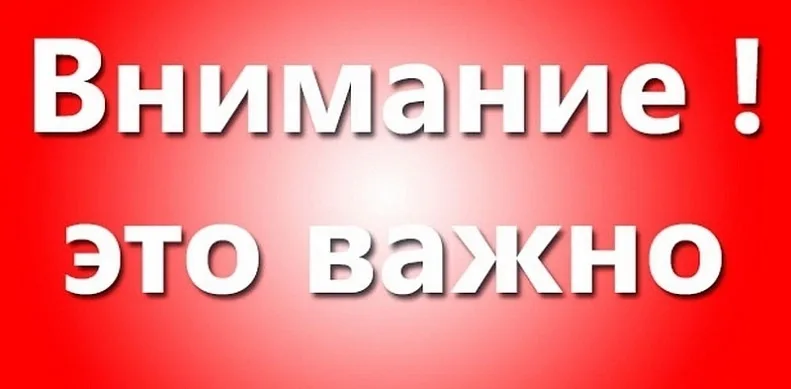Пропала собака в Сургуте — фото питомца