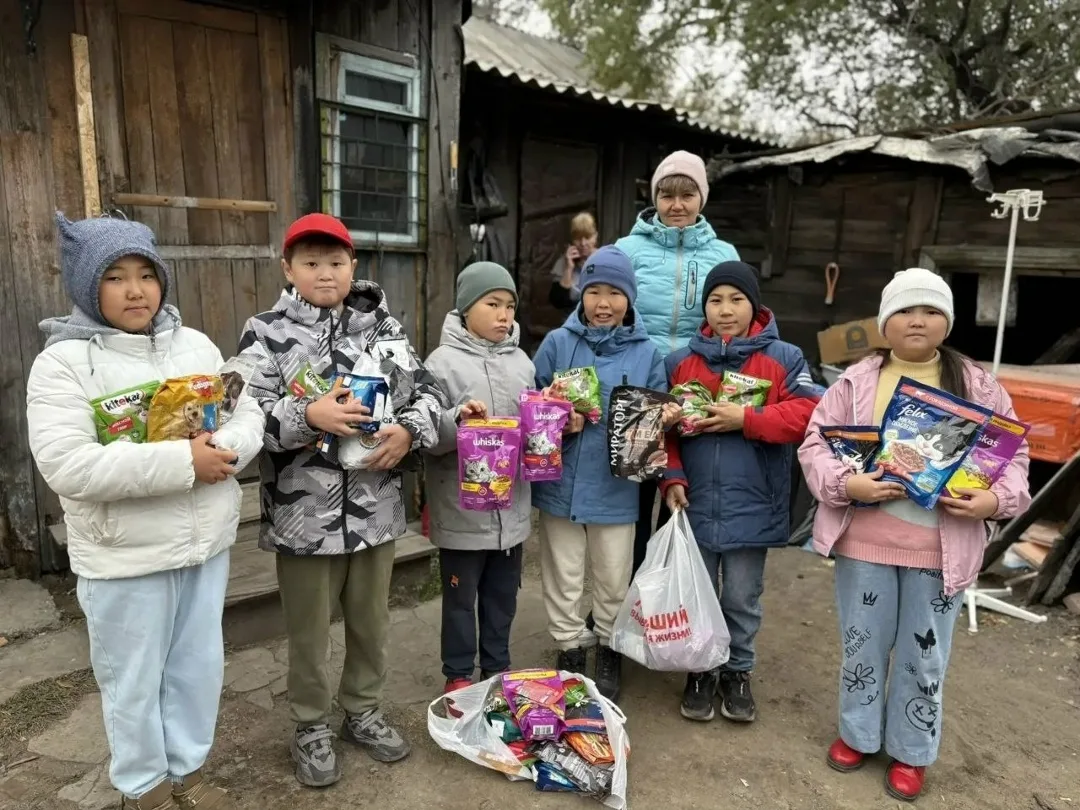 Найдена собака в Домодедове — фото питомца