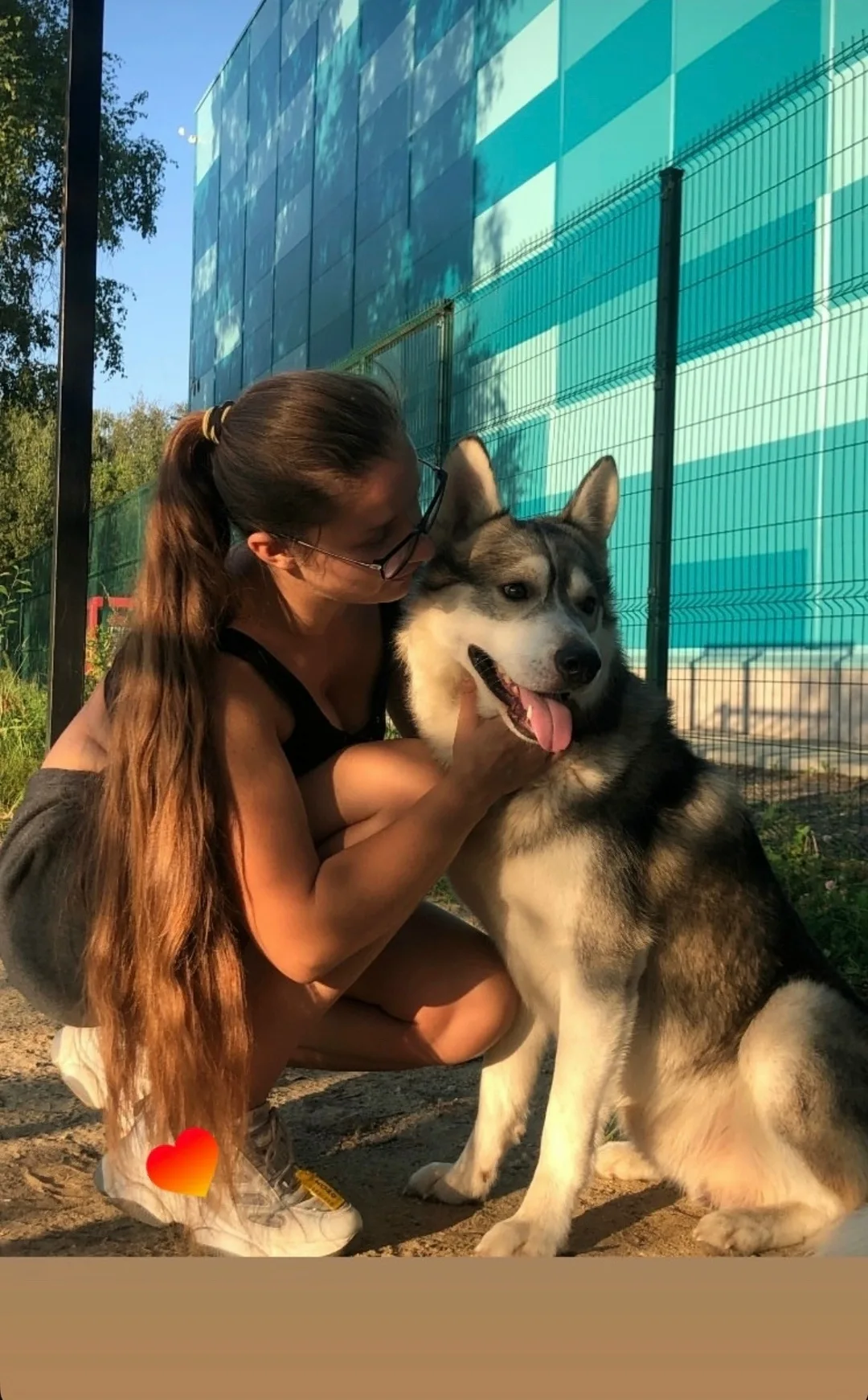Пропала собака в Раменском — фото питомца