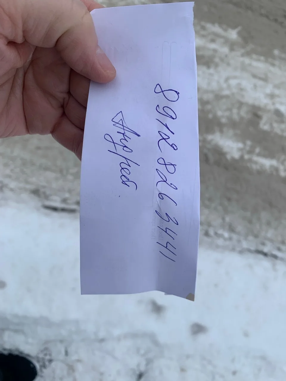 Найдена собака в Кирове — фото питомца