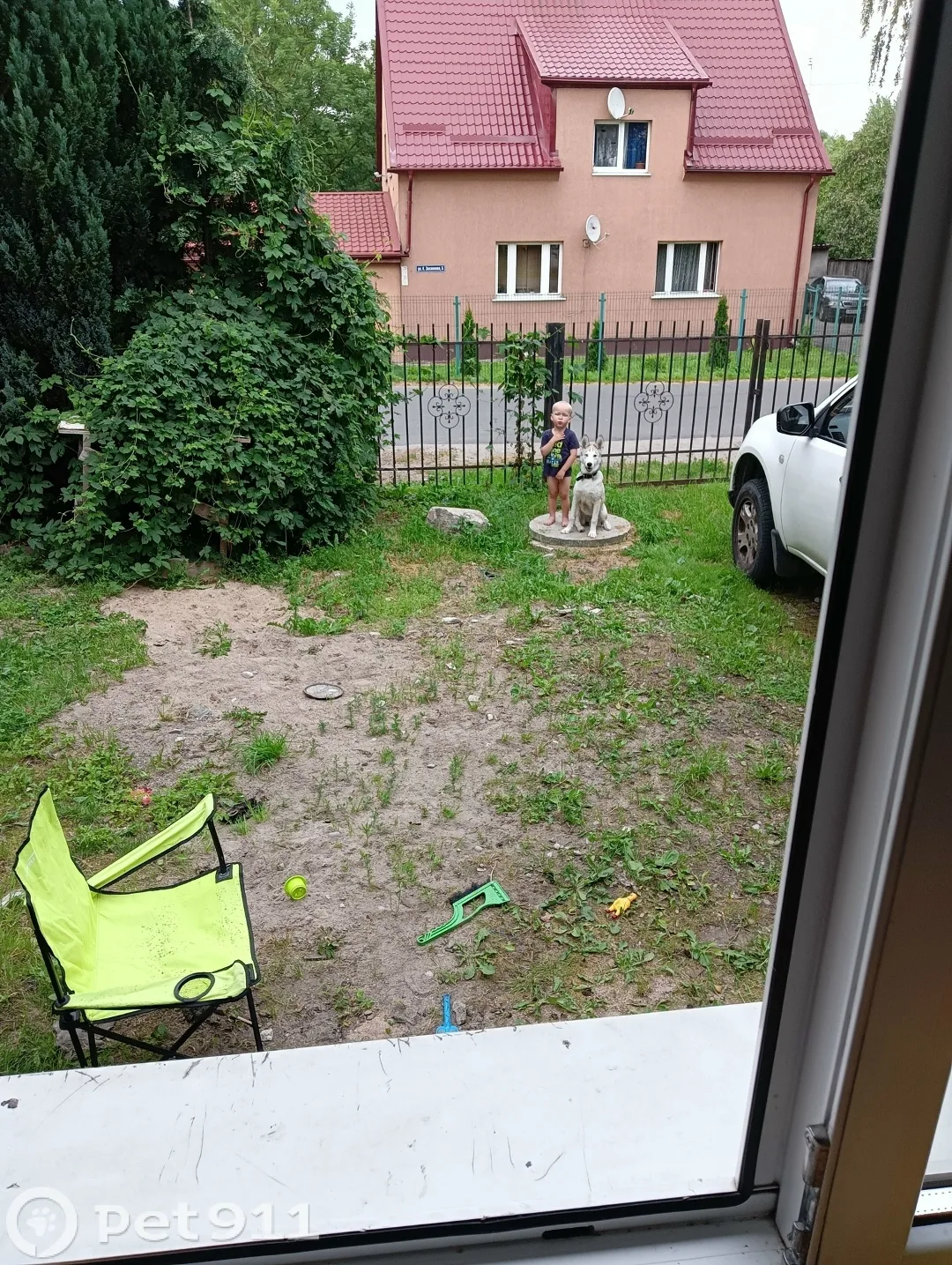 Пропала собака в Калининграде — фото питомца