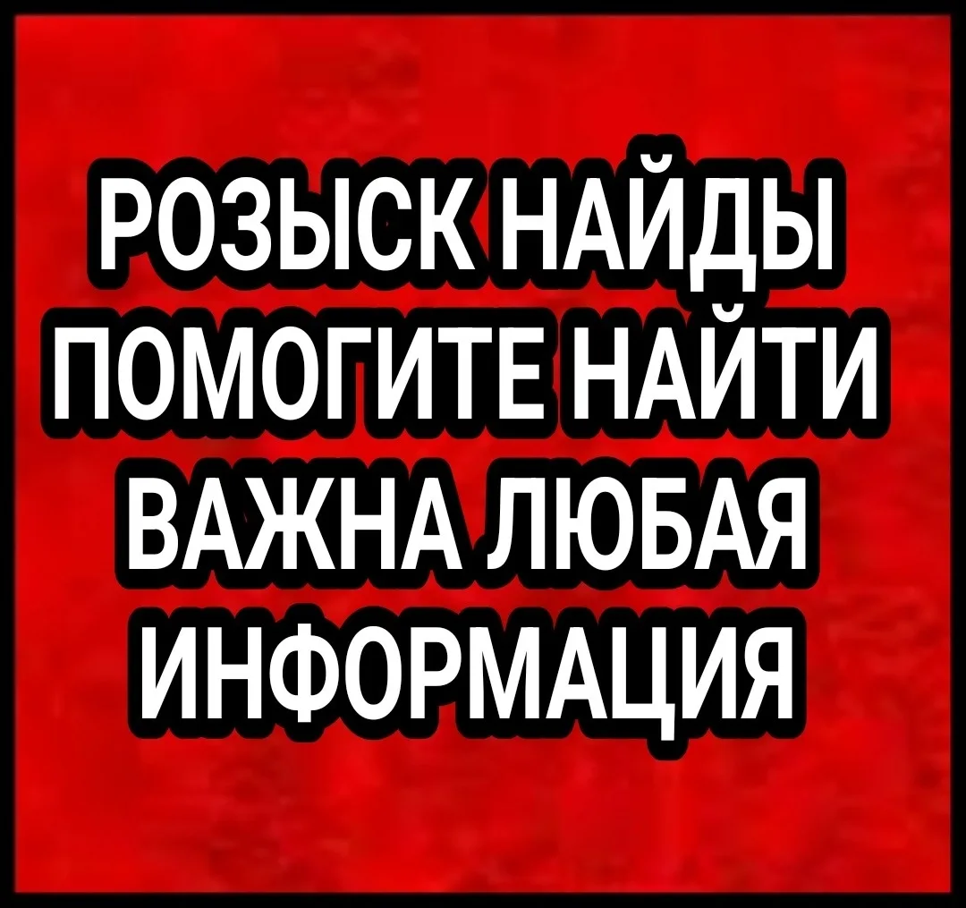 Найдена собака в Мурманске — фото питомца