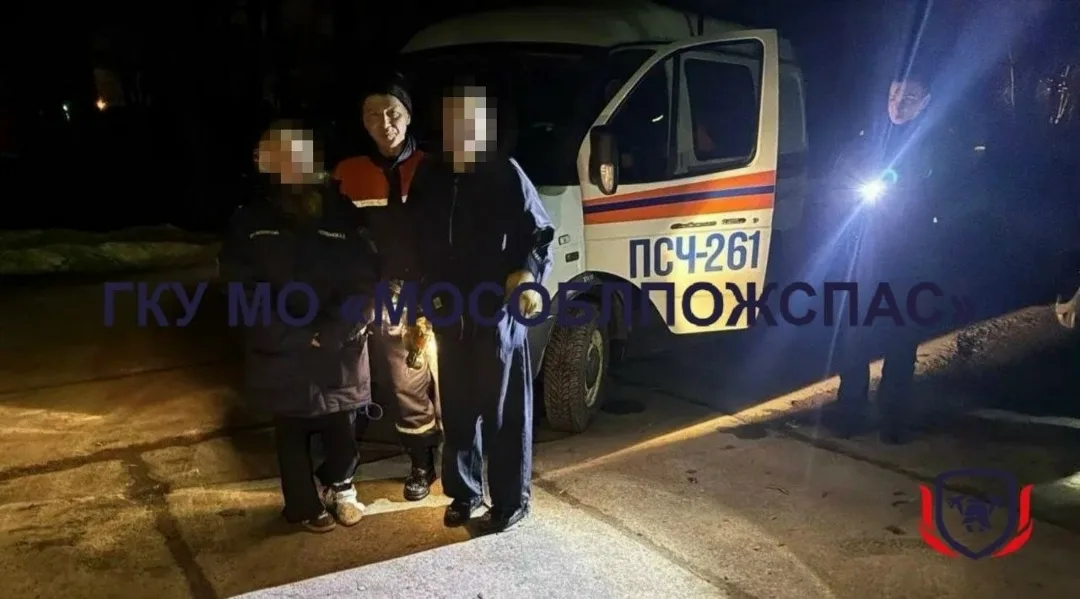 Найдена собака в Коломне — фото питомца