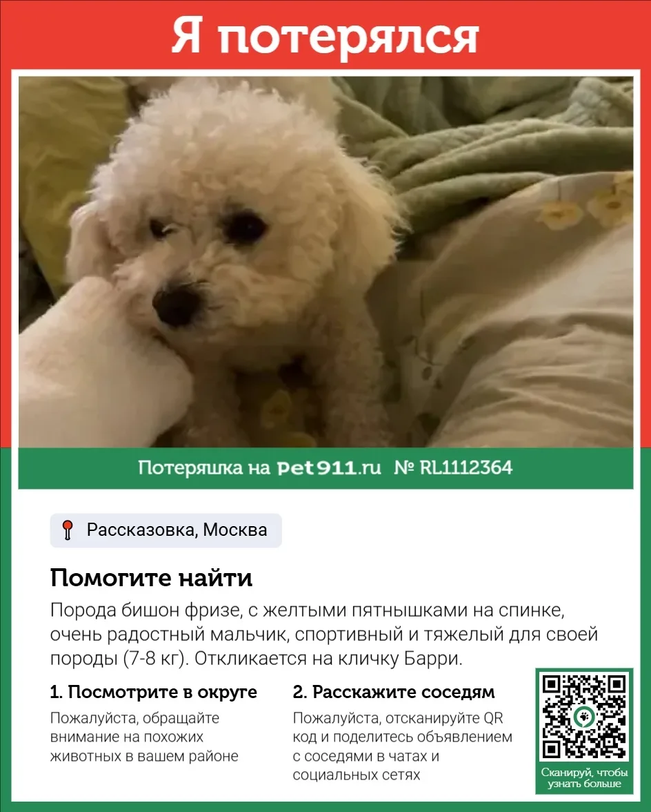 Пропала собака в Реутове — фото питомца
