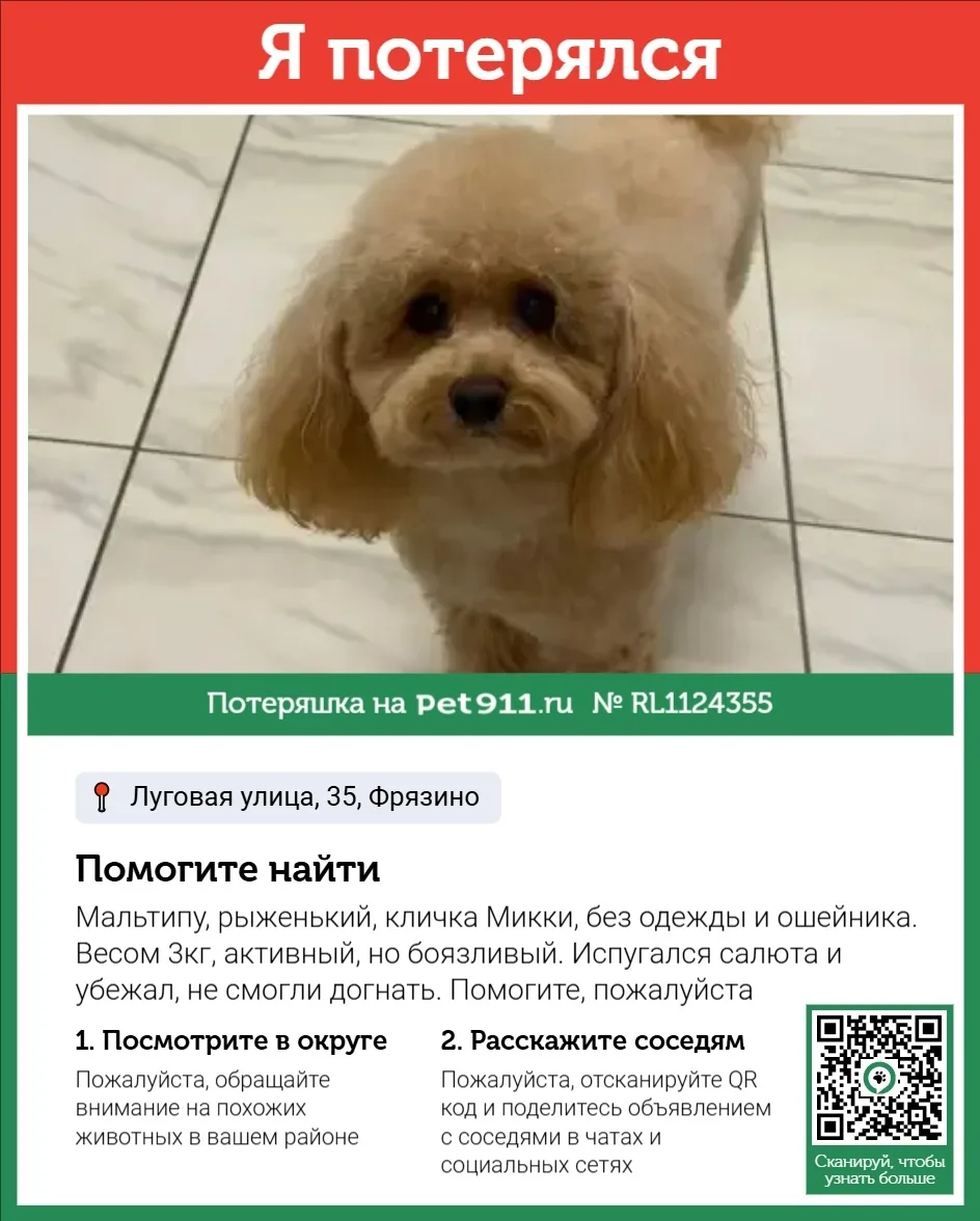 Пропала собака в Реутове — фото питомца