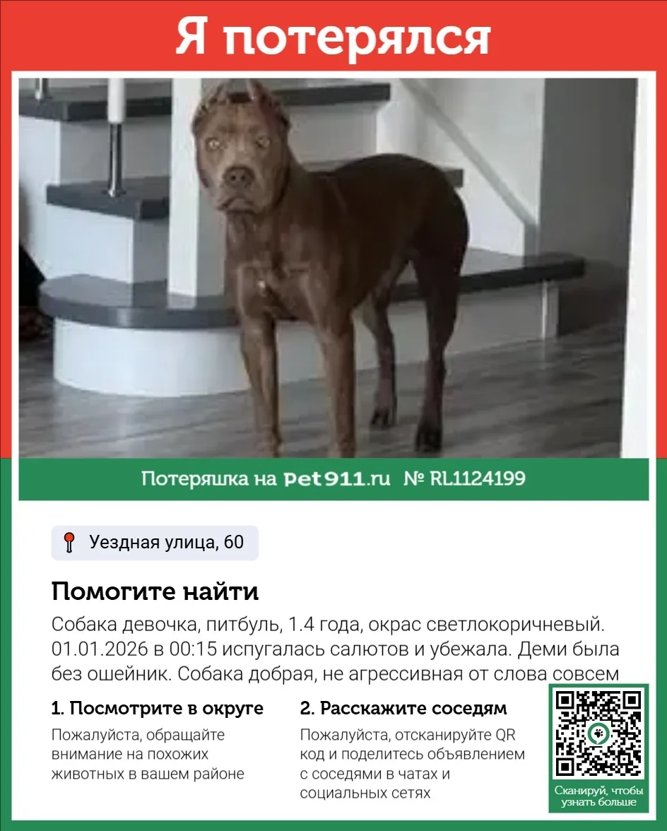 Пропала собака в Реутове — фото питомца