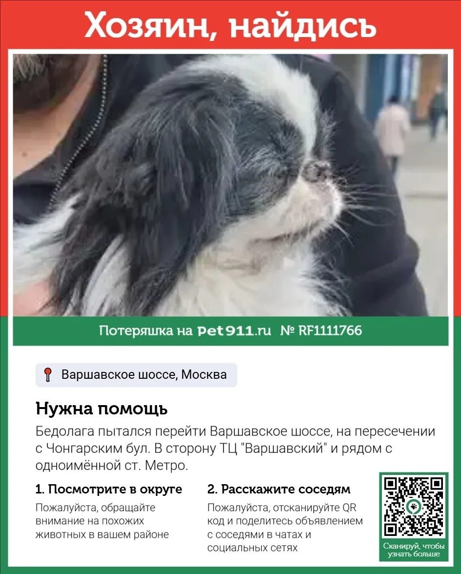 Найдена собака в Реутове — фото питомца