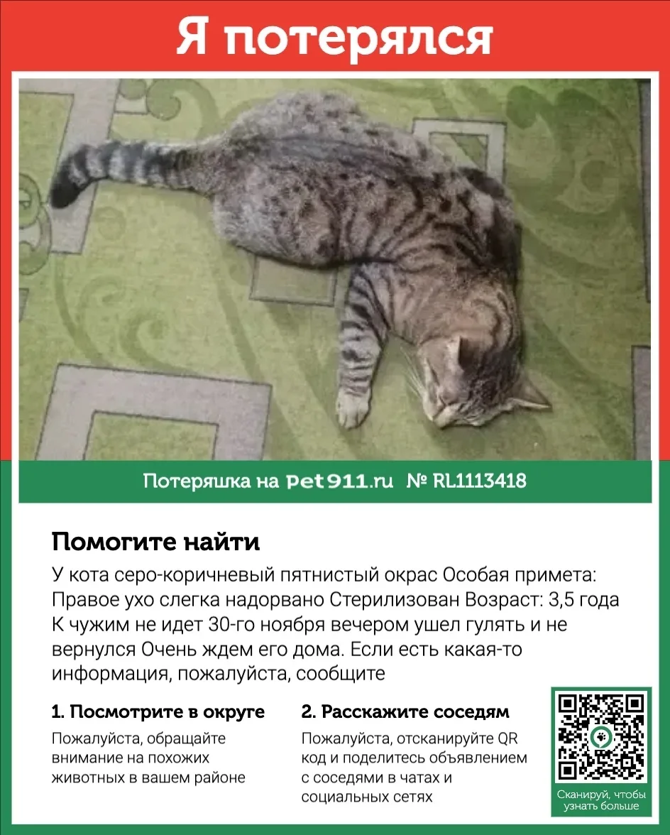 Пропала собака в Реутове — фото питомца