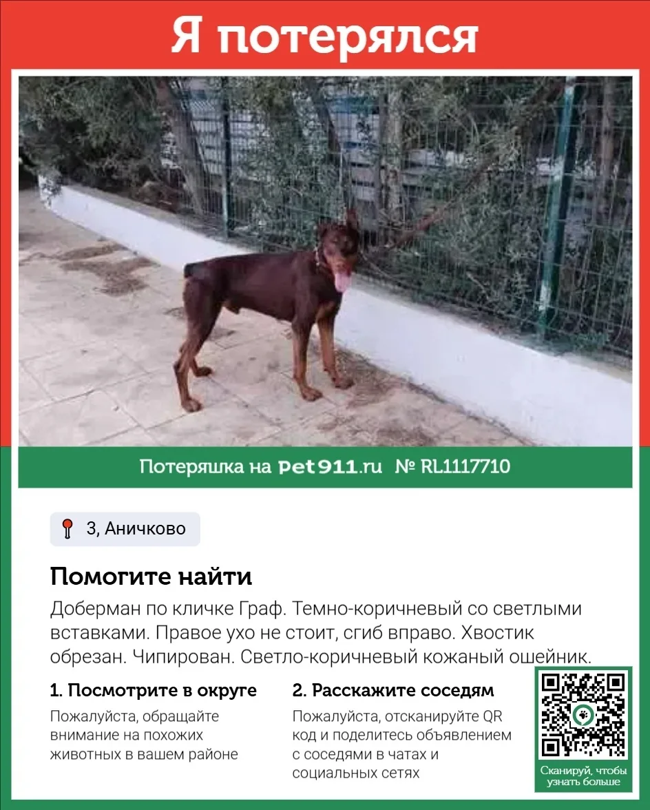 Пропала собака в Реутове — фото питомца