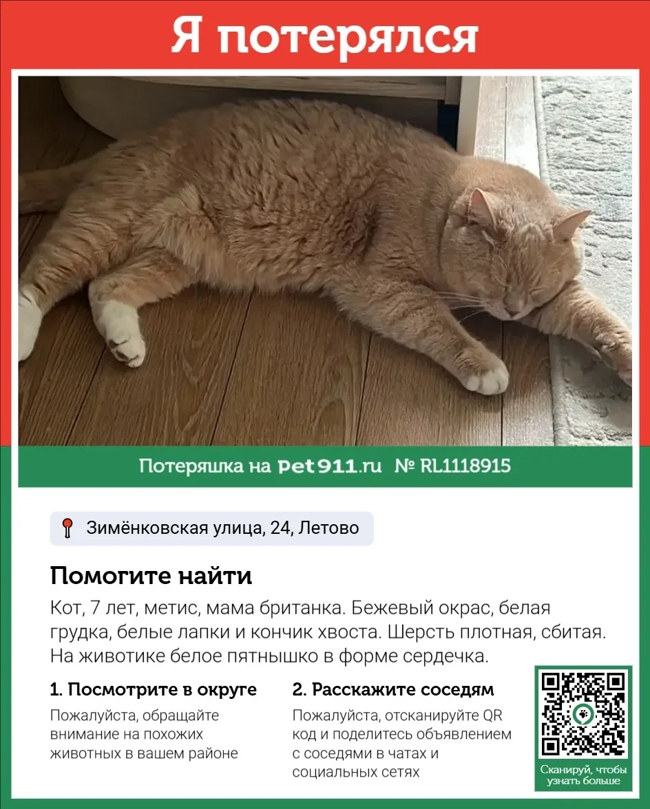Пропала собака в Реутове — фото питомца