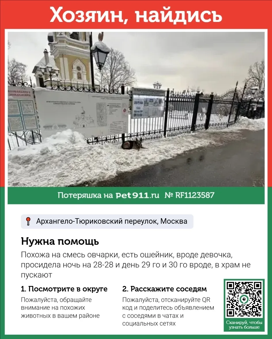 Найдена собака в Реутове — фото питомца