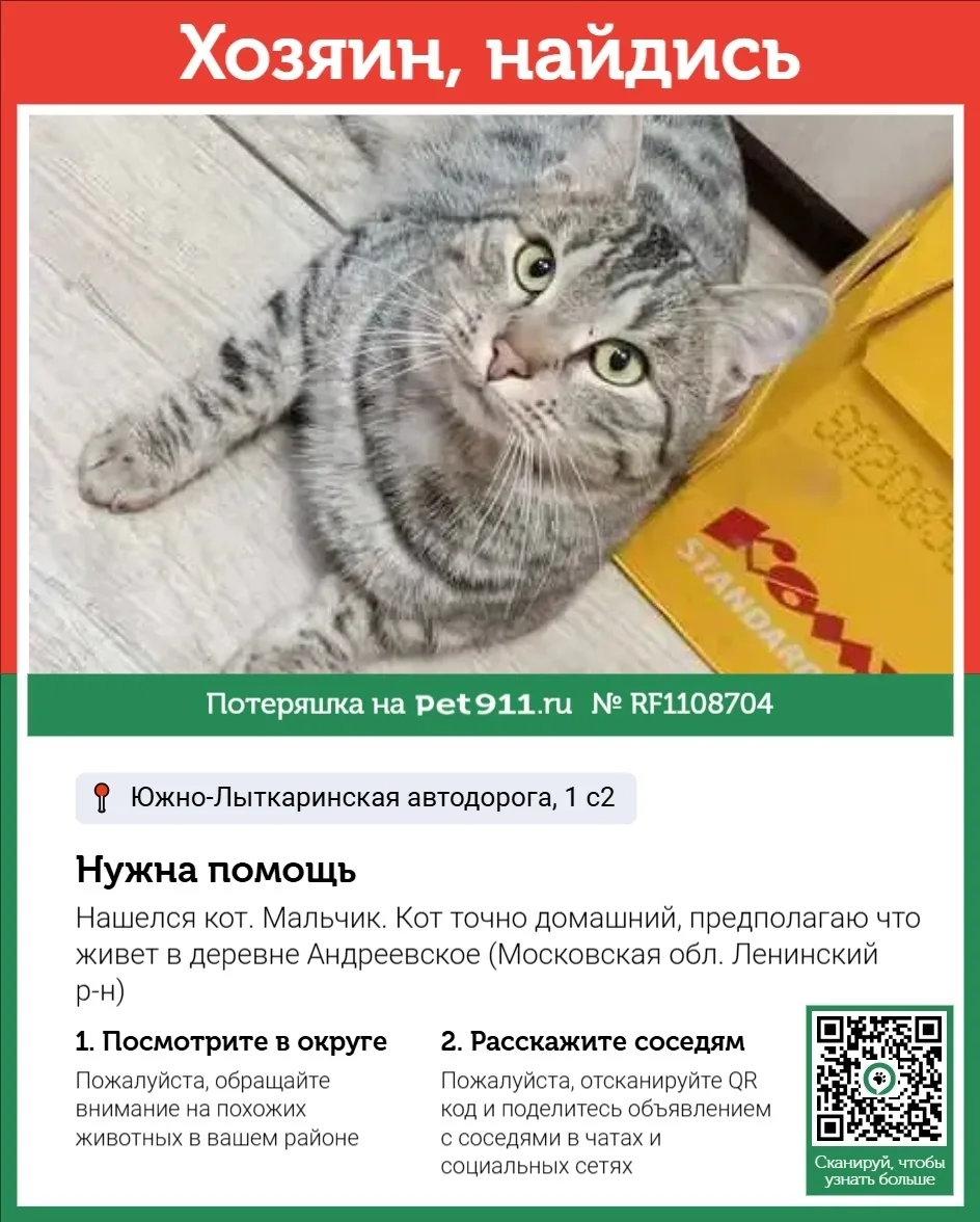 Найдена кошка в Реутове — фото питомца