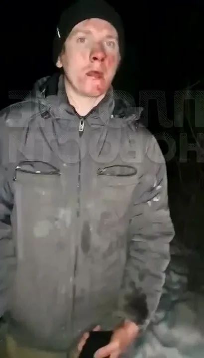 Найдена собака в Ухте — фото питомца