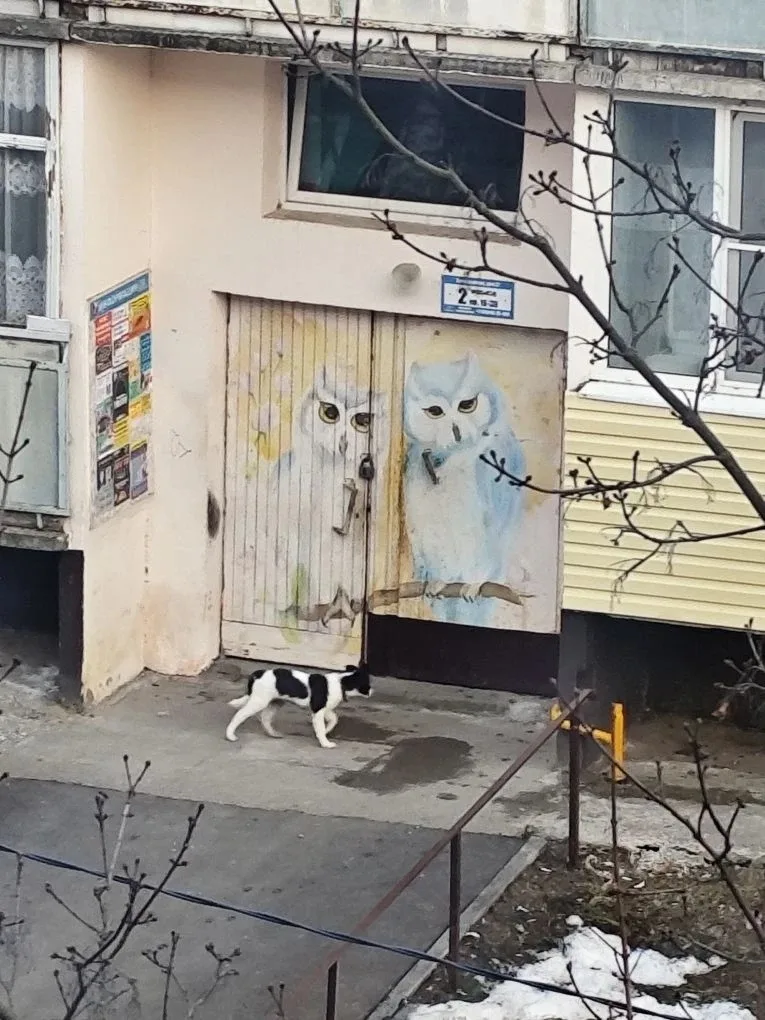 Пропала собака в Егорьевске — фото питомца