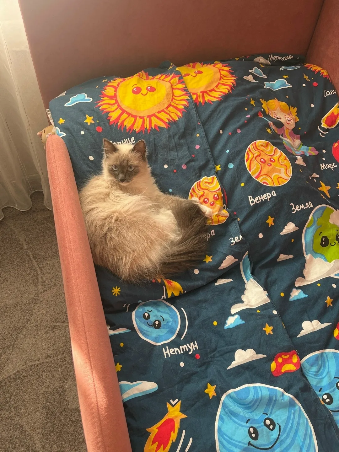 Пропала собака в Златоусте — фото питомца