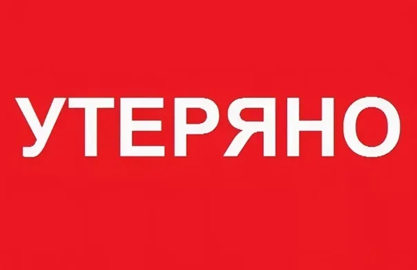 Объявление о питомце в Ногинске — фото питомца
