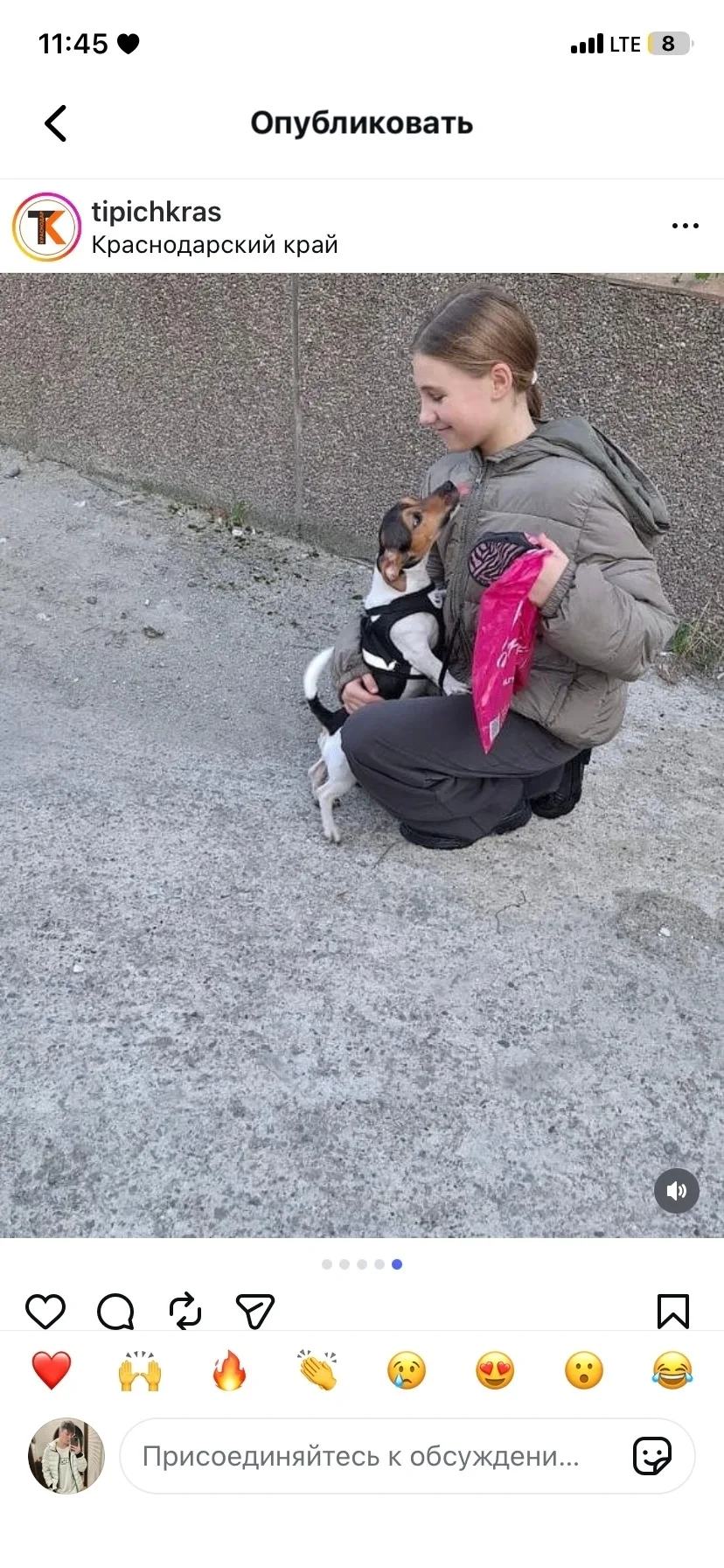Пропала собака в Новороссийске — фото питомца