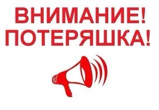 Найдена собака в Брянске — фото питомца