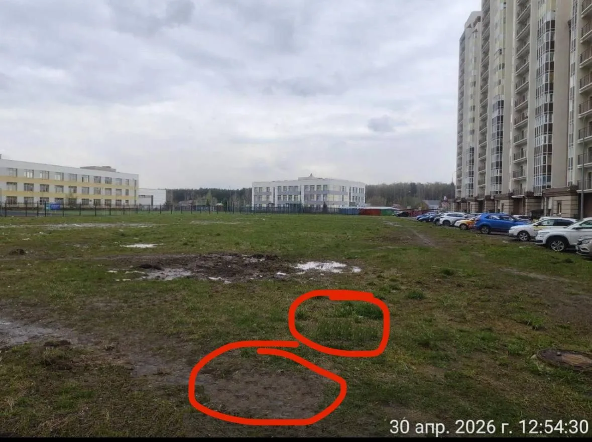 Объявление о питомце в Домодедове — фото питомца