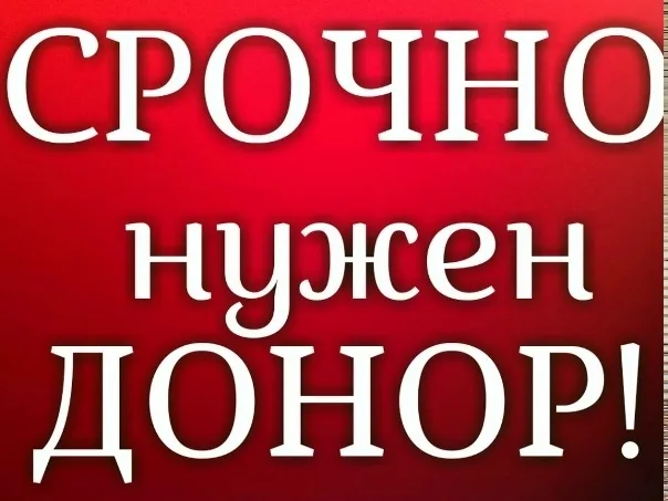 Найдена кошка в Энгельсе — фото питомца