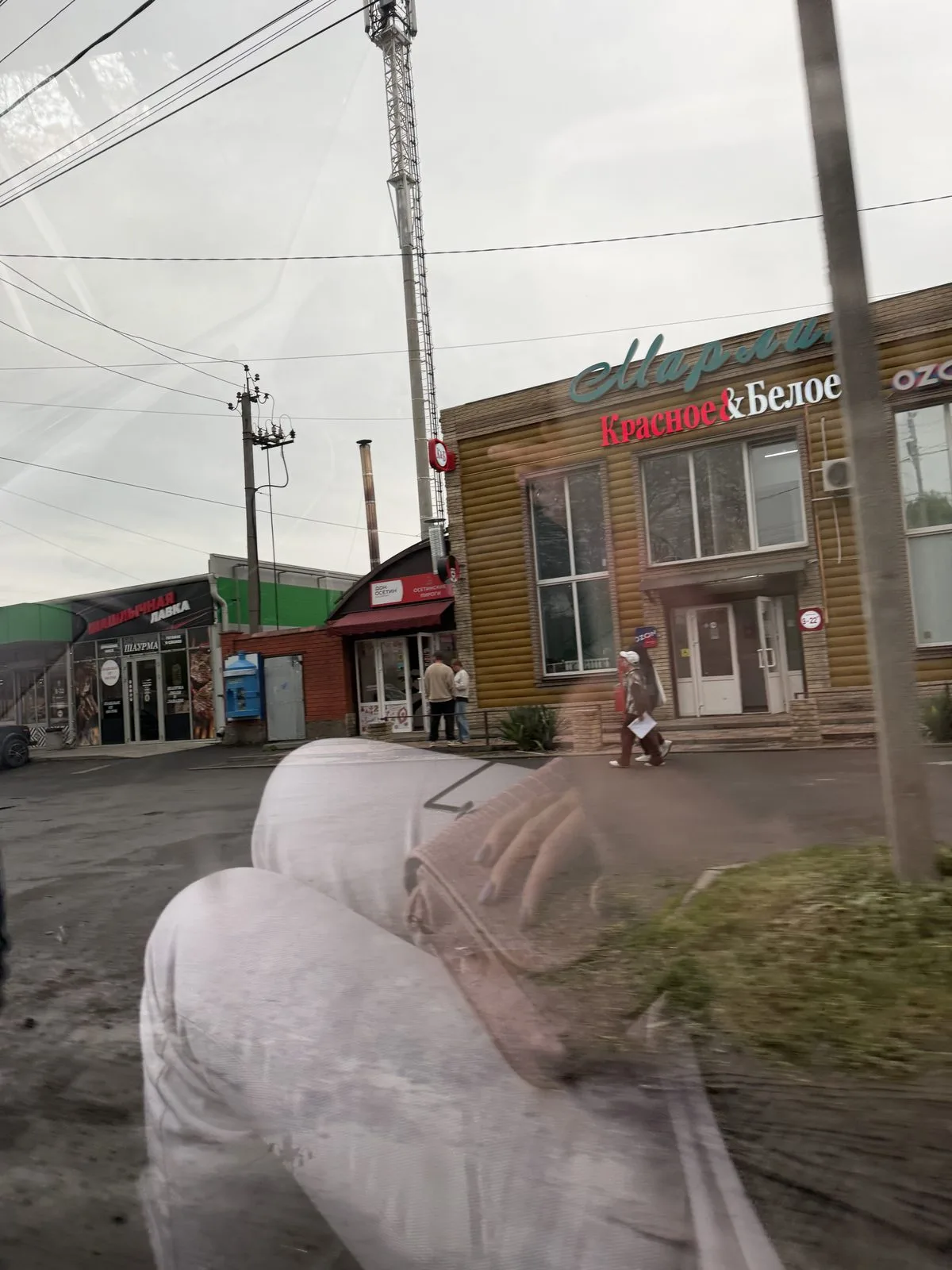 Найдена собака в Таганроге — фото питомца
