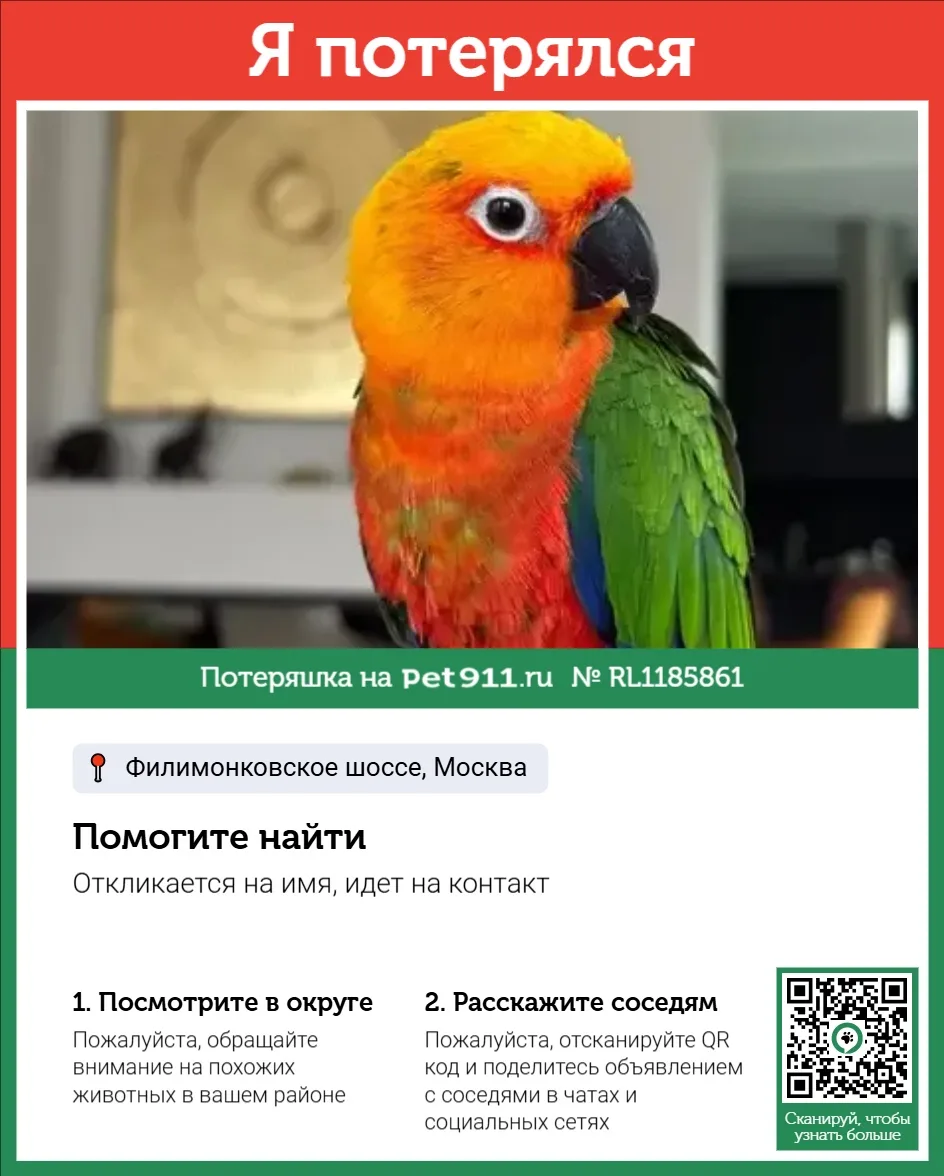 Объявление о питомце в Видном — фото питомца