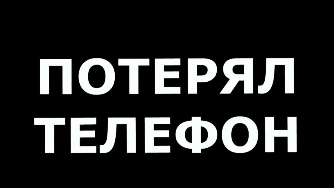 Объявление о питомце в Жуковском — фото питомца