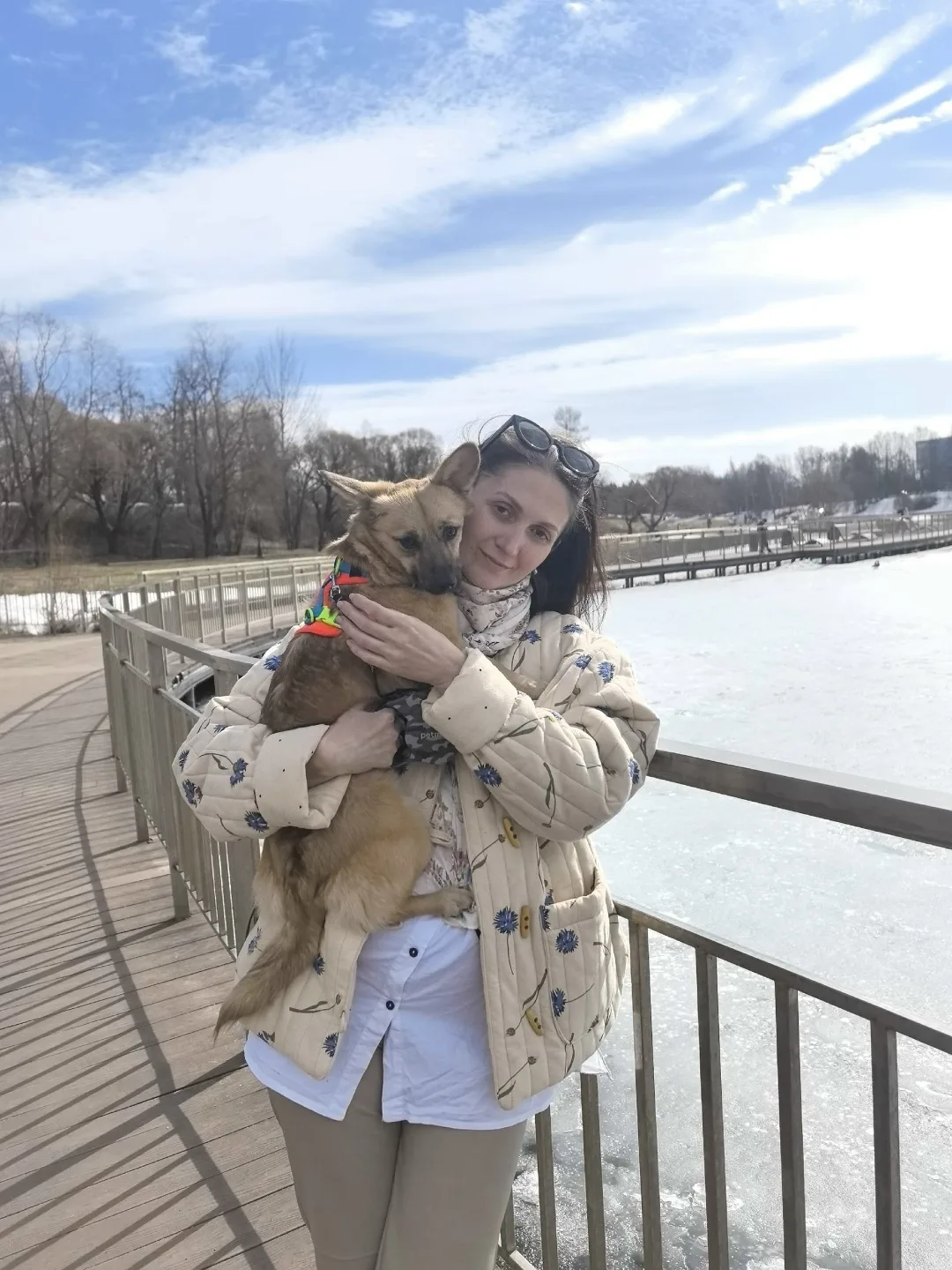 Пропала собака в Зеленограде — фото питомца