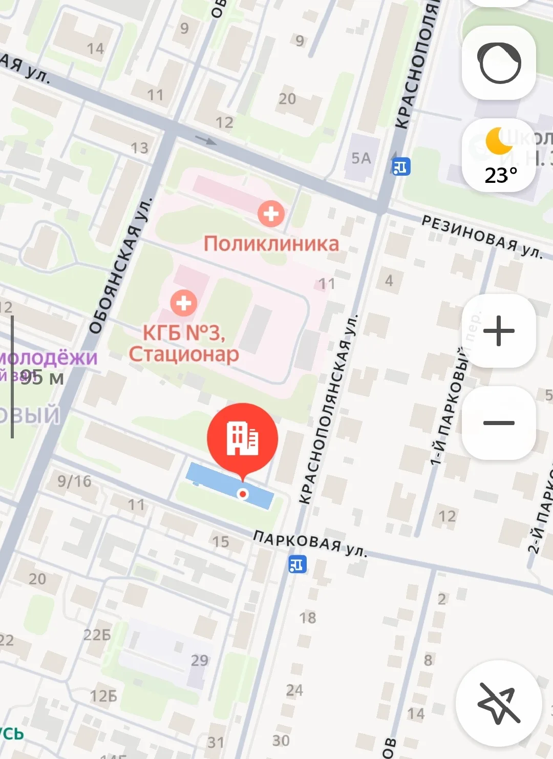 Найдена кошка в Курске — фото питомца